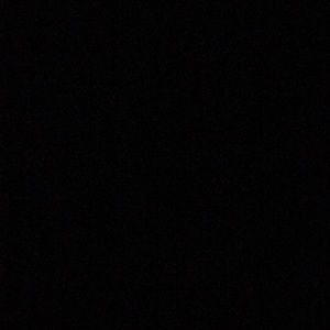 Meet your Posher, Giana